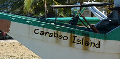 Boat rental to Carabao Island