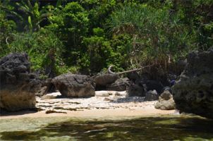 Hidden beach