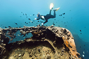 Things to do - scuba-diving-divingschools